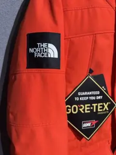 新品　未使用 M ノースフェイス アンタークティカパーカ フェイアリーレッド　赤