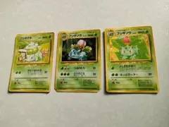 ポケモンカード フシギダネ フシギソウ　サザンアイランドフシギソウ 3枚セット