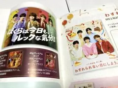 ファン必見！　ACEes　エイシーズ　不二家　株式　第132期上半期報告書