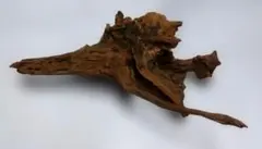 木の根 自然な形状 茶色 オブジェ年代物