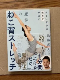 Item thumbnail for item 7c059ddd-737c-4e9b-b917-464313011173