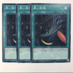 黒い旋風【テコ】