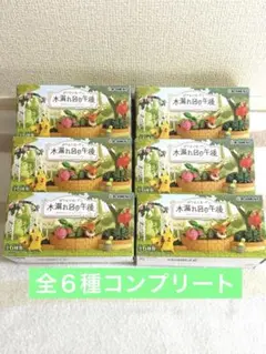 ポケモンボックス2 草原と山のポケモン フィギュア バンダイ 緑 当時物
