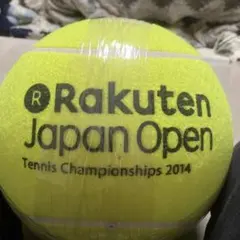 Item thumbnail for item 1406935d-78d5-4eea-adb2-2e4c6239f8f6