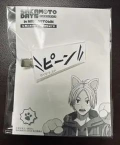 【新品未開封】朝倉シン シンのヘア”ピーン！”クリップ