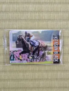 サラブレッドホースコレクション第2弾 　キタサンブラックサイン入り