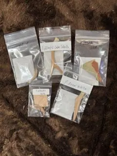 ※MAX様専用 胞子5種セット