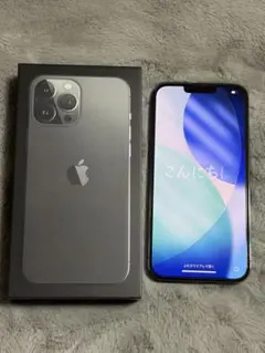Apple iPhone13ProMax グラファイト
