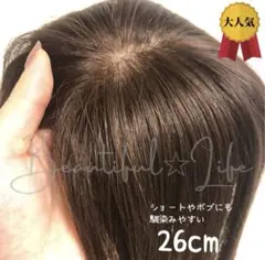 【26cmタイプ】前髪付き総手植え人毛100%ナチュラルブラウン✨ヘアピース1 26cmタイプ】前髪付き総手植え人毛100%ナチュラルブラウン✨ヘアピース