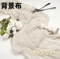 背景布 チュール ウェルカムスペース 生地 撮影 結婚式 オフホワイト