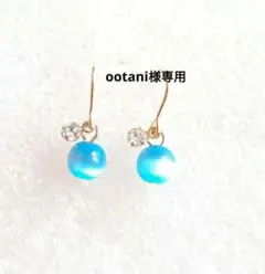 ootani様 リクエスト 3点 サージカルステンレスフック小
