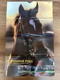 Item thumbnail for item 6a537f17-0991-4808-897b-cb0f22f9060f