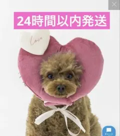 Item thumbnail for item cbbb3a84-fcaf-48ad-866f-54d959776b7e