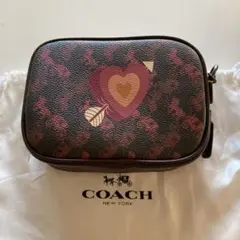 三連休限定お値下げ　コーチ　カメラバッグ