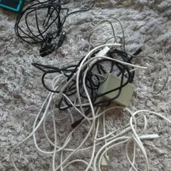 Item thumbnail for item c4ac9cf5-0e5f-463f-bb7d-9d2206c4a125