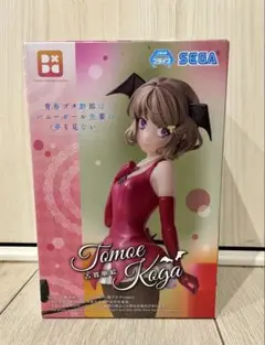 青春ブタ野郎はバニーガール先輩の夢を見ない　　古賀朋絵　青豚