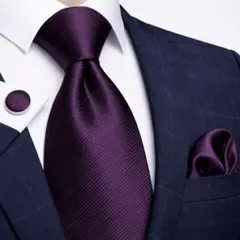 【3点セット】ネクタイペイズリーストライプ結婚式入学式卒業式紫パープル