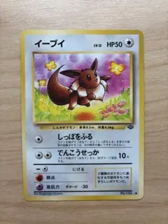 イーブイ ● 第2弾拡張パック ポケモンジャングル