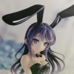 ヴァイスシュヴァルツ 青春ブタ野郎 青ブタ 向こうの世界から 赤城