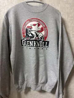 hanes トレーナー スウェット 90s USA製　ヴィンテージ　古着