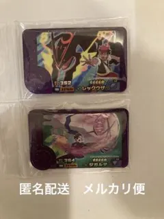 ポケモンフレンダ　スーパートレジャー　レックウザ　ジガルデ