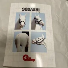 名馬証明写真風 コンビニプリント ソダシ