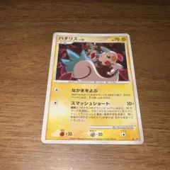 【PSA9】パチリス LV30 lv30 キラ 2026年最新】パチリス lv.30の人気アイテム - メルカリ