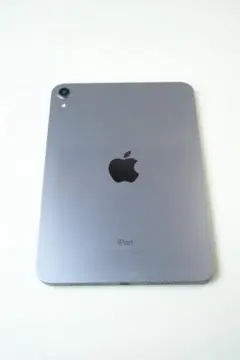 2025年最新】Apple iPad mini (Wi-Fi, 64GB) - スペースグレイの人気