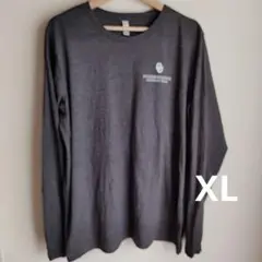 Item thumbnail for item 306e6c33-c612-4229-bc30-68a5e1367df1