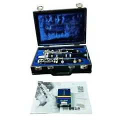 Item thumbnail for item 3c9b5c01-35aa-460b-a7bf-c0e3e8f2ee4a