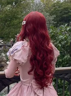 【最終値下げ！】アリエル　仮装　ウィッグ　コスプレ　リトルマーメイド　dハロ