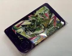 ポケモン　フレンダ　テツノイサハ　テラスタル　スーパートレジャー