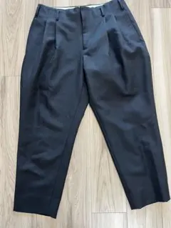 AD2023 コムデギャルソンオムプリュス エステル 2タック パンツ ポリのサムネイル