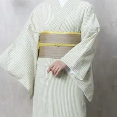 小紋 着物 ストライプ柄 ライトグリーン Mサイズのサムネイル