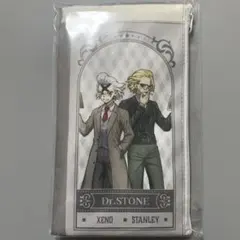 dr.stone くじ引き堂 読書の秋 フラットポーチ ゼノ スタンリー