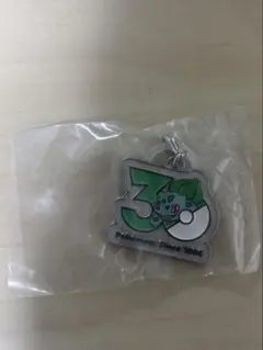 k*！様 ポケモン　30周年　メタルチャームマスコット