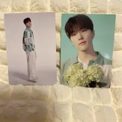 セブチ　トレカ　ディノ