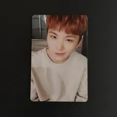 SEVENTEEN トレカ TEEN, AGE ウジ