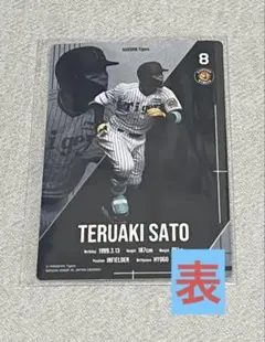 阪神タイガース ツインウエハース2026 選手カード 佐藤輝明