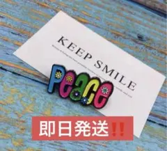 G-DRAGON ジードラゴジヨン テソン ソル T.O.Pデイジーピンバッジ