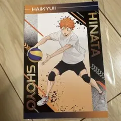 ハイキュー!! 日向翔陽 ブロマイド