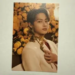 SEVENTEEN ジュン your choice ポストカード