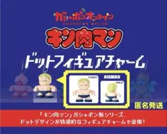 キン肉マン　ドットフィギュアチャーム　テリーマン　ガチャガチャ