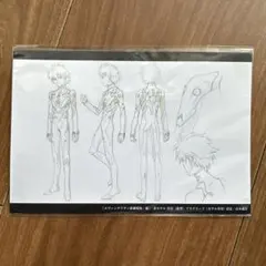 エヴァンゲリオン 新劇場版：破 ポストカード 渚カヲル プラグスーツ