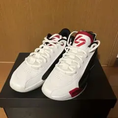 Jordan エア ズーム バスケットボールシューズ