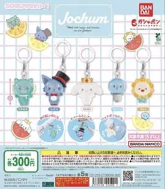 JOCHUM ジェオチャム めじるしアクセサリー1 全5種　コンプ　カプセル無し