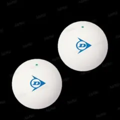 Item thumbnail for item 59bc7db7-6679-439c-ba18-f4d885fb4e2c