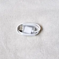 ホワイト USB-A USB-C ケーブル