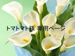 トマトマト様専用ページ カラフルなお花のオブジェ