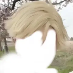 鳴上嵐　コスプレ　ウィッグ